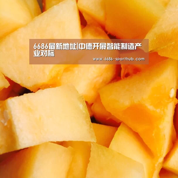 6686官方网站